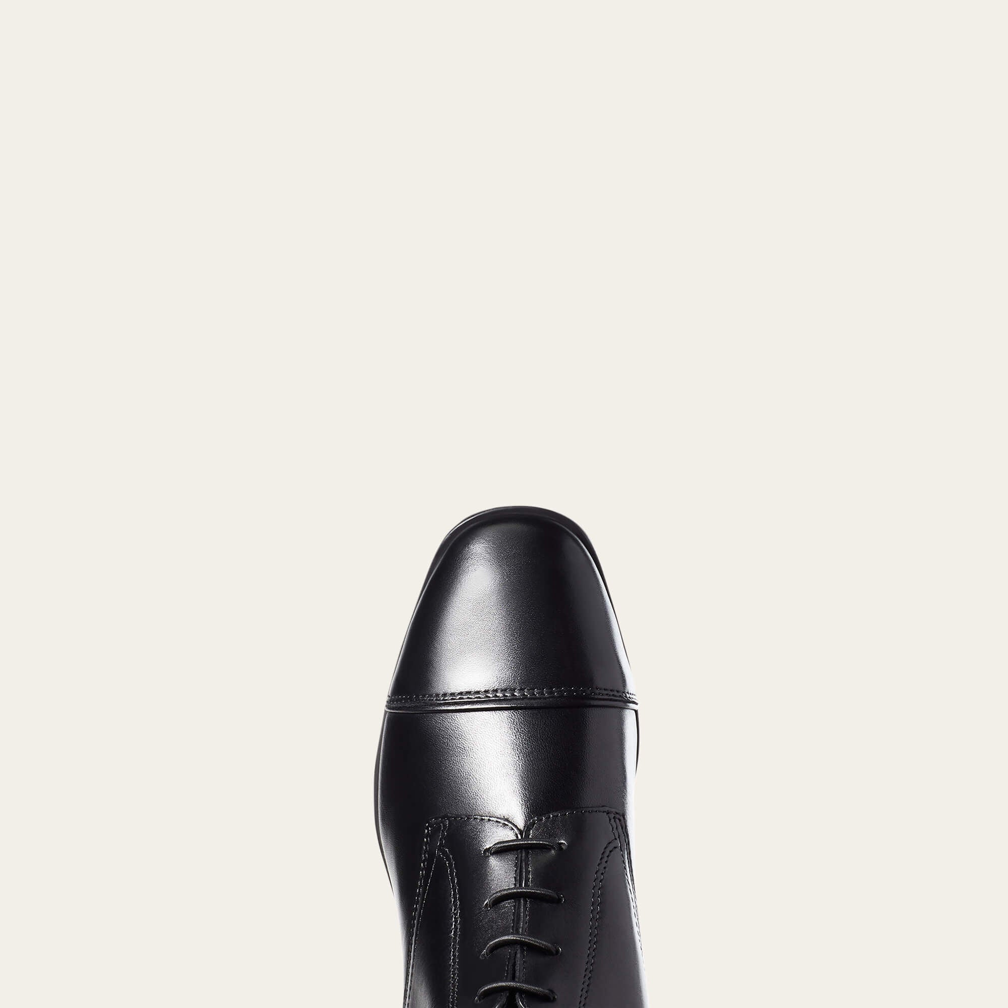Ariat Palisade Tall Riding Boot Discount